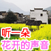 听一朵花开的声音