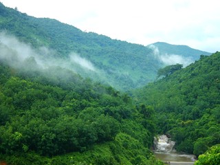 呀诺达雨林