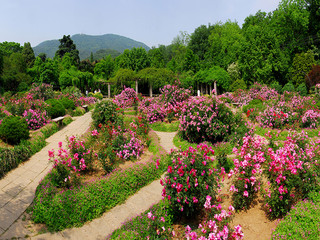 南京景点_南京景点门票预订_南京旅游景点大全