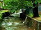 玻璃沼1