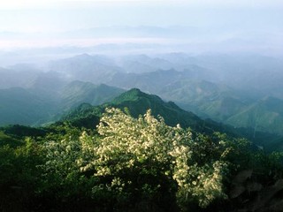 浙西天目山