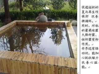 为什么荷兰没有被海水淹没