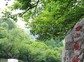 超山4