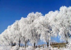 <吉林雾凇岛-中国雪乡双卧5日>赏雾凇美景，住特色火炕