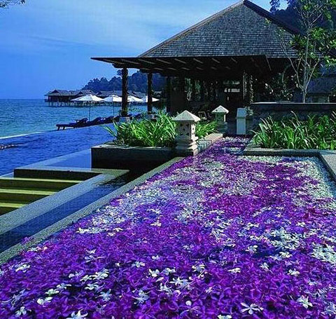 <巴厘岛4晚6日游>亲亲海豚，风帆出海，LULU SPA