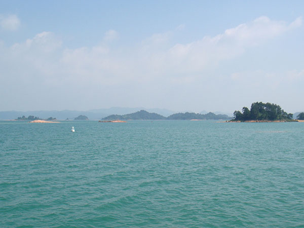  万绿湖-龙凤岛-御临门温泉2日游>