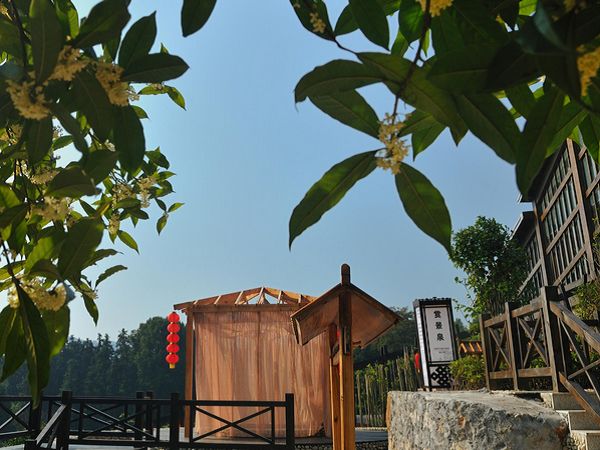 咸宁三江森林温泉哪种好 宁海森林温泉小木屋