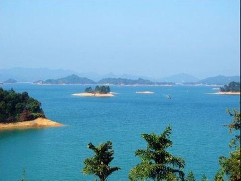  万绿谷-龙川佗城-龙源温泉2日游>游客家古邑,赏油菜花
