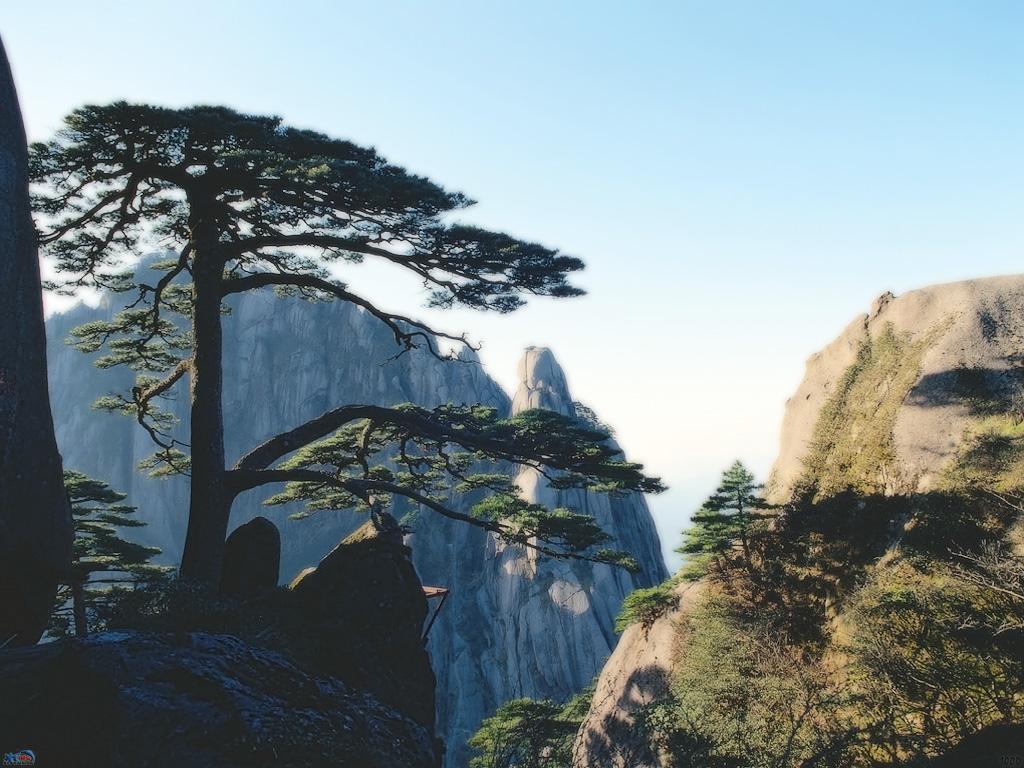 1.黄山气候多变,山高风大,不宜打伞,应备雨衣,且山高路陡,备有手杖,有备无患; 2.黄山山道虽好,但不比平路,宜穿胶底鞋、布鞋方便安全,不宜穿皮鞋和塑料底鞋以防滑倒; 3.黄山皆石阶,且多险段,登山时身体宜前俯,且开始登山时不宜过速,下山尤需缓步; 4.走路不看景,看景不走路,大景不放过,小景不流连,拍照不用慌,先对身后望; 5.