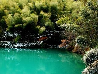 黄山温泉-芙蓉谷-塔川2日游>门票全含,宿黄山宾馆