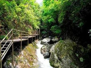 12:30 游览【天目山景区】感受清心洗肺森林浴,中国生态旅游第一山的