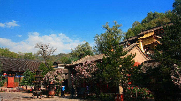 求五台山风景区到乔家大院,王家大院及平遥古城最佳自驾路线(图2) 求五台山风景区到乔家大院,王家大院及平遥古城最佳自驾路线(图4) 求五台山风景区到乔家大院,王家大院及平遥古城最佳自驾路线(图6) 求五台山风景区到乔家大院,王家大院及平遥古城最佳自驾路线(图9) 求五台山风景区到乔家大院,王家大院及平遥古城最佳自驾路线(图12) 求五台山风景区到乔家大院,王家大院及平遥古城最佳自驾路线(图14) 为了解决用户可能碰到关于"求五台山风景区到乔家大院,王家大院及平遥古城最佳自驾路线"相关的问题