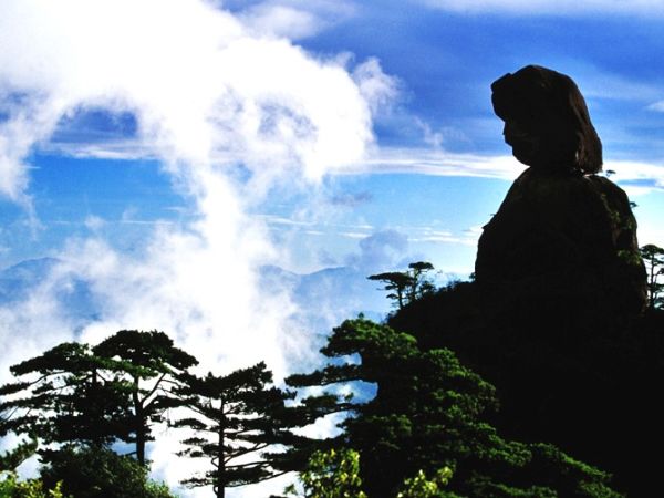 区】:<em>司春女神</em>属