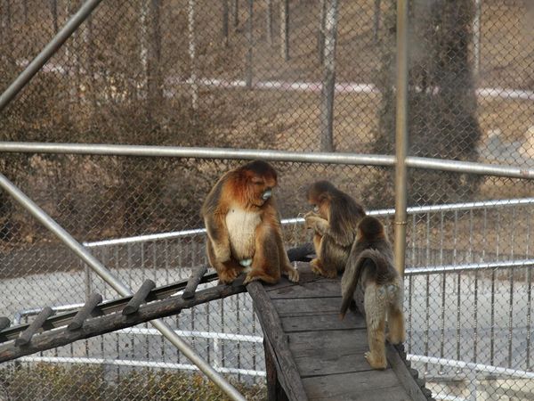 病患者、孕妇及行动不便者预订提示 1.为了确保旅游顺利出行,防止旅途中发生人身意外伤害事故,请旅游者在出行前做一次必要的身体检查,如存在下列情况,因服务能力所限无法接待: (1)传染性疾病患者,如传染性肝炎、活动期肺结核、伤寒等传染病人; (2)心血管疾病患者,如严重高血压、心功能不全、心肌缺氧、心肌梗塞等病人; (3)脑血管疾病患者,如脑栓塞、脑出血、脑肿瘤等病人; (4)呼吸系统疾病患者,如肺气肿、肺心病等病人; (5)精神病患者,如癫痫及各种精神病人; (6)严重贫血病患者,如血红蛋白量水平在50克
