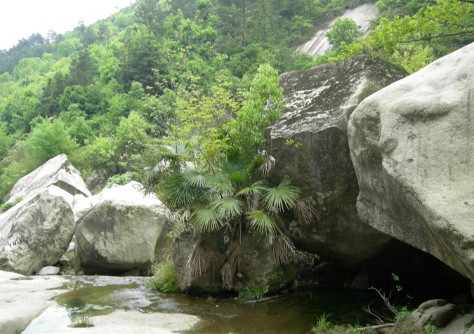 天柱山-天险河漂流2日游秋日登山,感受漂流的刺激