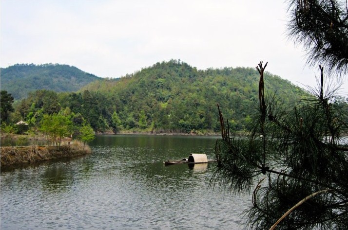 景区简介龙川湾 登龙川湾岛景区内岛屿环绕错落,港汊曲折迂回,拥有