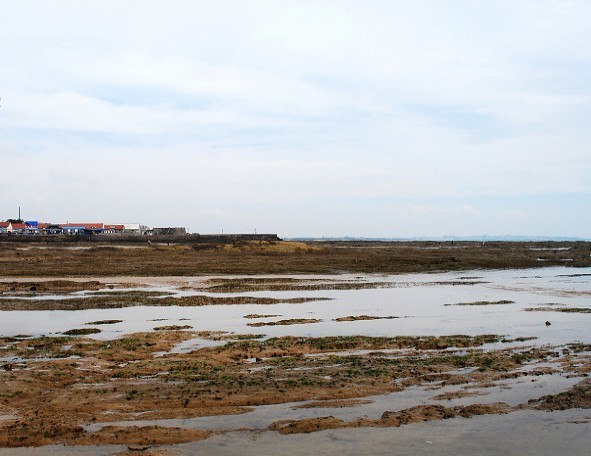 日照海滩浴场-李家台赶海园2日游>仅一个自理,赶海之旅