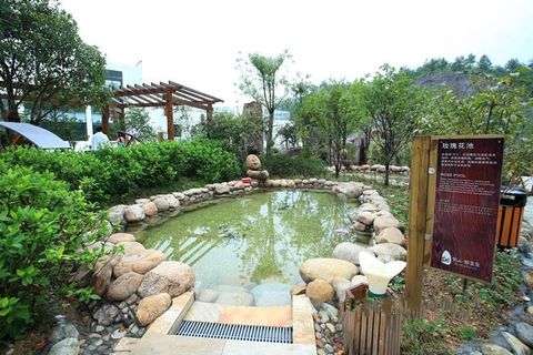 <皖南2日游>宿黄山博慧堂假日酒店，全程自助游玩