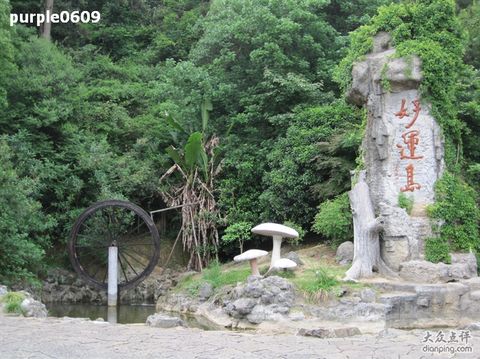 <桐庐富春山水-好运岛-新安江2日游>畅游富春江，住宿可升级