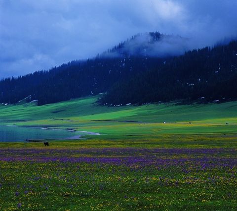 <天池-吐鲁番-那拉提-巴音布鲁克双飞双卧7日游>跟团，赠旅游三宝