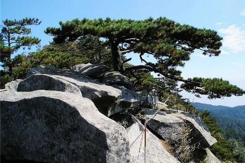 <罗田薄刀峰-新汉正街2日游>宿四星酒店