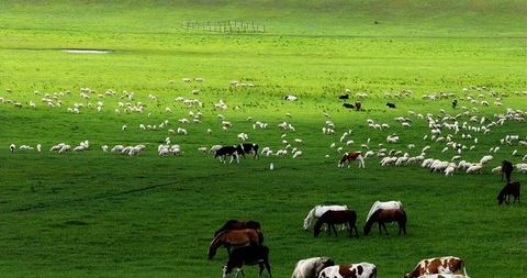 <希拉穆仁-响沙湾双飞5日游>跟团，3晚五星，华东成团一车一导