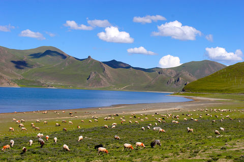 <深圳-西宁-拉萨-日喀则三飞单卧7日游>深圳直飞西宁