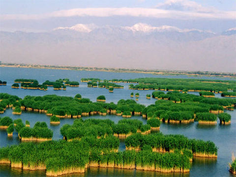  沙湖-岩画-影视城-枸杞园1日游>银川参团,赏宁夏美景