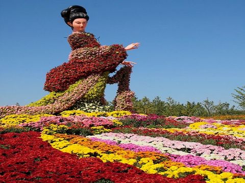 途牛上海鲜花港_上海鲜花港_鲜花拱门(3)