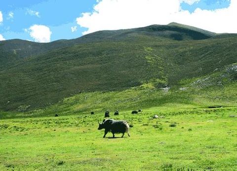 <西宁-拉萨-林芝三飞单卧6日游>享受大美西藏