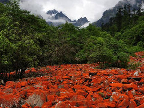 <燕子沟-木格措4日游>成都参团，门票观光车全含，无购物