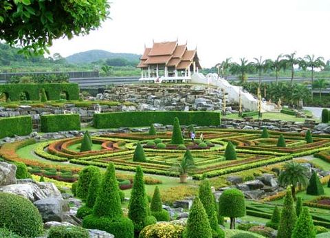 <芭提雅1日游>游龙虎园、东芭乐园、赏人妖秀表演（当地游）