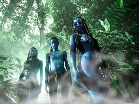 [清明]<昆明-版纳6日游>热带雨林深度游，精致小包团，当地参团