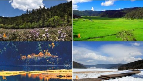 [五一]<昆大丽-香格里拉双飞一卧6日游>直奔梦中的香巴拉