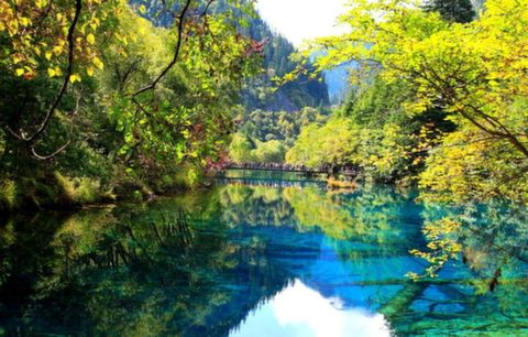 <都江堰-成都熊猫基地1日游>叹水利奇观，看国宝憨态