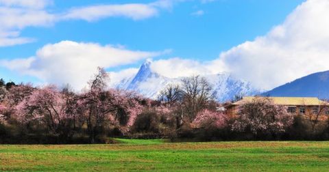 <西藏双飞6日游>船游巴松错，含大峡谷，桃花季送石锅鸡