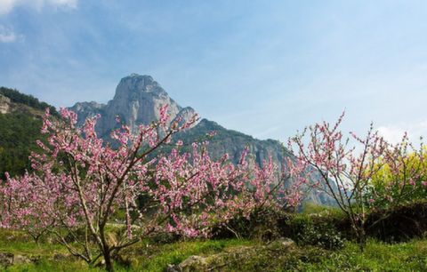 <雁荡四绝-龙穿飞瀑3日游>经典组合，一价全含，美食专线