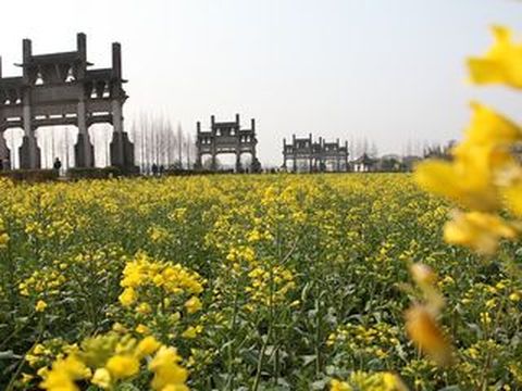 <徽州古城-鲍家花园1日游>黄山市内参团，赏牌坊群