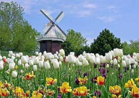 <四明山-大竹海-赏郁金香2日游>门票全含住五星