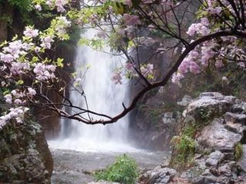 <临安太湖源-大龙湾-琴湖飞瀑2日游>宿农家，踏青特惠团仅218