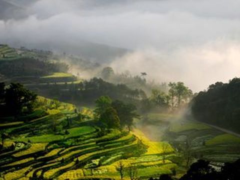 <婺源江岭-三清山-烂柯山3日游>1晚挂四1晚商务，赠1早1正