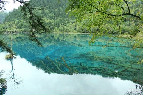 <成都-九寨沟-牟尼沟-都江堰双飞6日游>提前10天预定立减100元