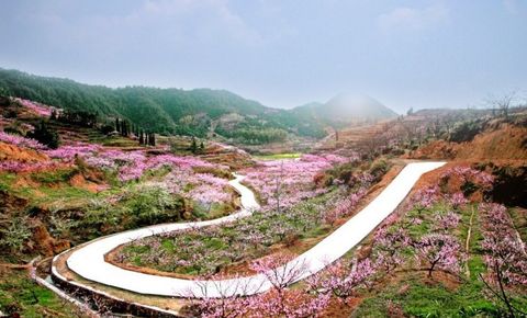 <千岛湖西南湖-桐庐2日游>宿巴比松庄园，2人减120