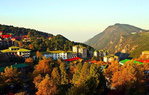 <庐山全景双卧4日游>宿山上三星赠1早3正