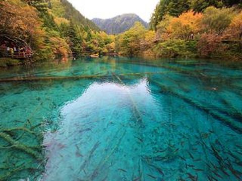 <绵阳-九寨沟-黄龙-牟托羌寨双飞6日游>双人立减400，绵阳往返