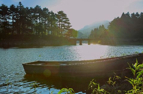 <庐山-三叠泉-龙虎山仙游双卧5日游>门票景交全含，赠竹筏漂及5餐