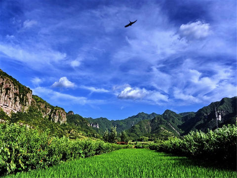 <南黄古道徒步-天台后岸村-赏枫2日游>田园慢生活  劲爆199赠3餐