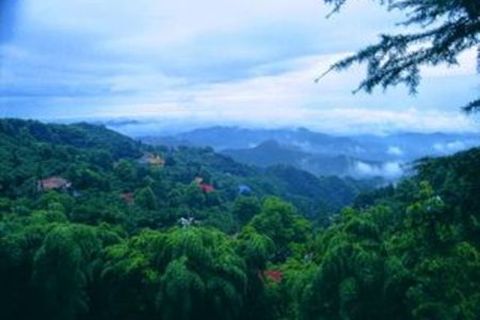 <莫干山-白龙潭-西溪湿地福堤2日游>门票全含，赠早餐