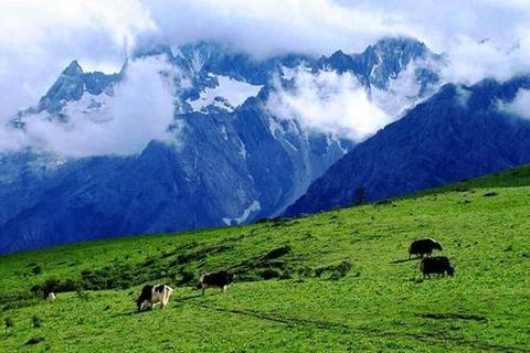 <玉龙雪山1日游>牦牛坪索道，至海拔3800米的高原牧场（当地游）