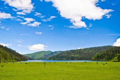 <香格里拉2日游>含普达措松赞林寺虎跳峡，独克宗古城（当地游）